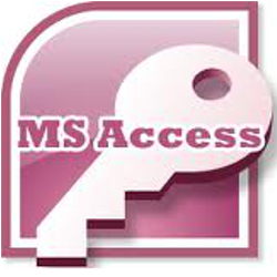 Microsoft Access data system programmer Arizona